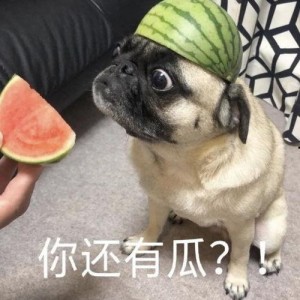 吃瓜表情包,揭秘网络时代的幽默密码