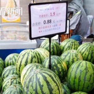 热门大瓜,热门大瓜背后的惊人真相